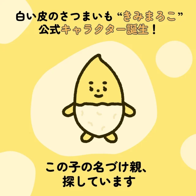 白い皮のねっとりさつまいも ”きみまろこ” のキャラクター誕生！🙌㊗
お披露目のこの日を楽しみにしていました！

とってもかわいくて愛おしいキャラクターになりました💛夢に出てきてほしいですね..♪

この子の名づけ親、探しております！お名前の応募フォームはプロフィールにあります！抽選でキャラクターグッズをプレゼント🎁

①お名前大募集（～11/4（月）まで）
②お名前発表（11月上旬予定）
③ご応募いただいた方の中から抽選で10名の方に、キャラクターグッズをプレゼント（12月予定）

キャラクターは、@maipan_kyon 様に作成いただきました。すてきなキャラクターをありがとうございます！✨

#きみまろこ #さつまいも #サツマイモ #三好アグリテック #焼き芋 #焼きいも #さつまいもレシピ #さつまいも愛 #さつまいも農家 #さつまいも好きと繋がりたい #japanesesweetpotato＃きみまるこではないですよ